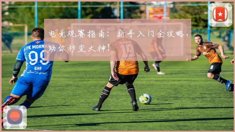 电竞观赛指南：新手入门全攻略，助你秒变大神！