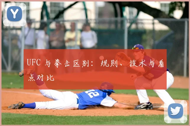 UFC 与拳击区别：规则、技术与看点对比