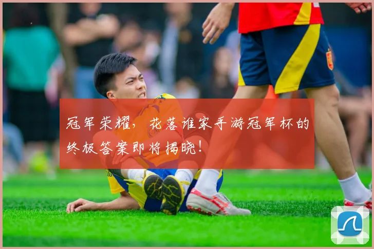 冠军荣耀，花落谁家手游冠军杯的终极答案即将揭晓！
