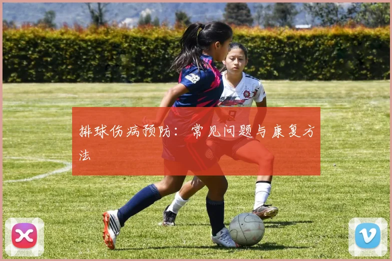 排球伤病预防：常见问题与康复方法