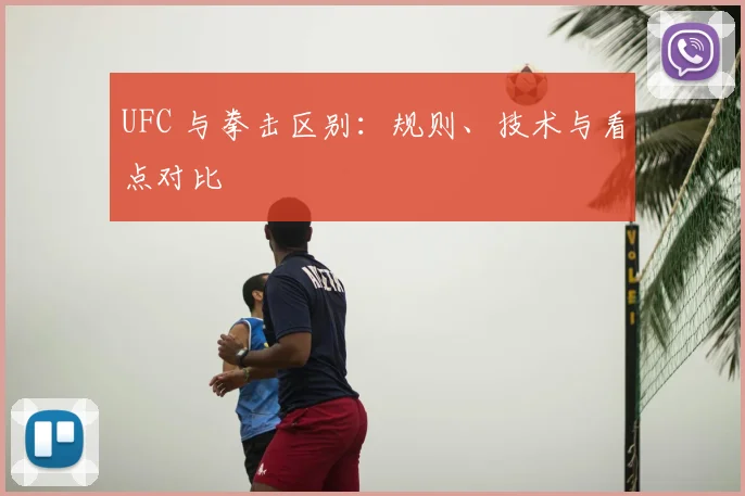 UFC 与拳击区别:规则、技术与看点对比