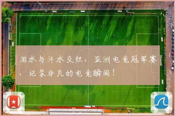 泪水与汗水交织，亚洲电竞冠军赛，记录非凡的电竞瞬间！