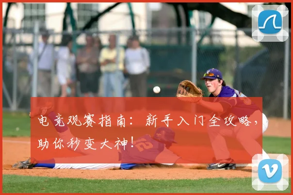 电竞观赛指南：新手入门全攻略，助你秒变大神！